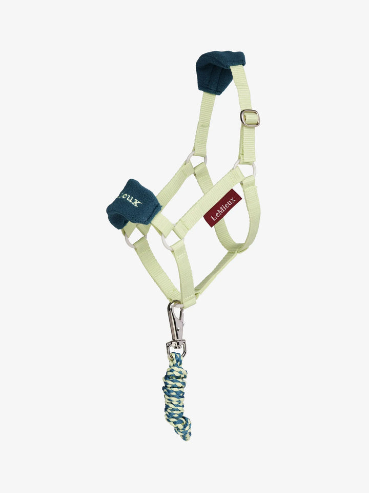 Hobby Horse Vogue Headcollar &amp; Leadrope