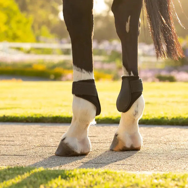 Arika Fetlock Boot