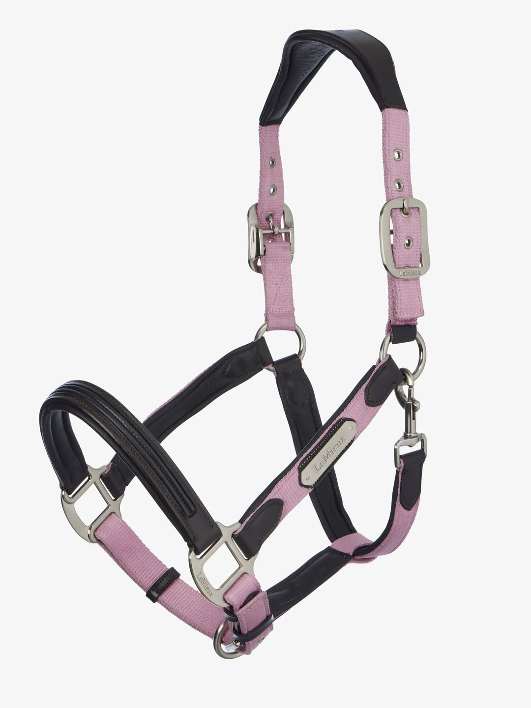 Capella Headcollar