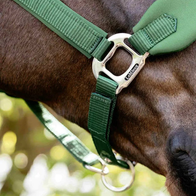 Breakaway Vogue Halter and Leadrope