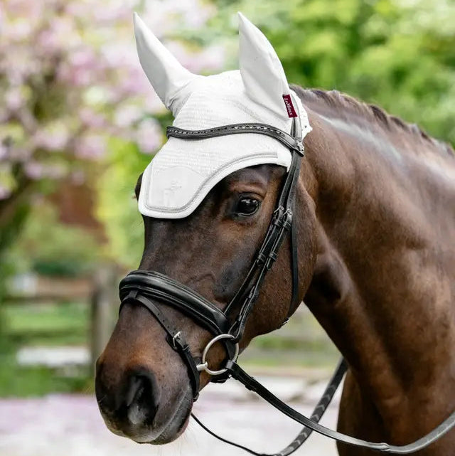 Brilliance Fly Hood