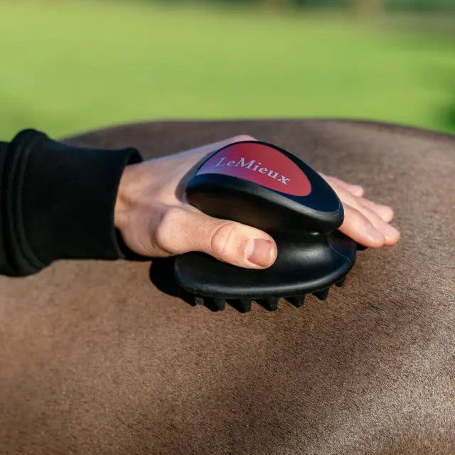Massage Brush