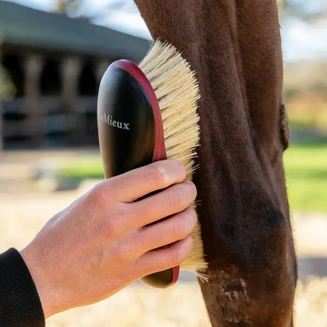 Dandy Brush