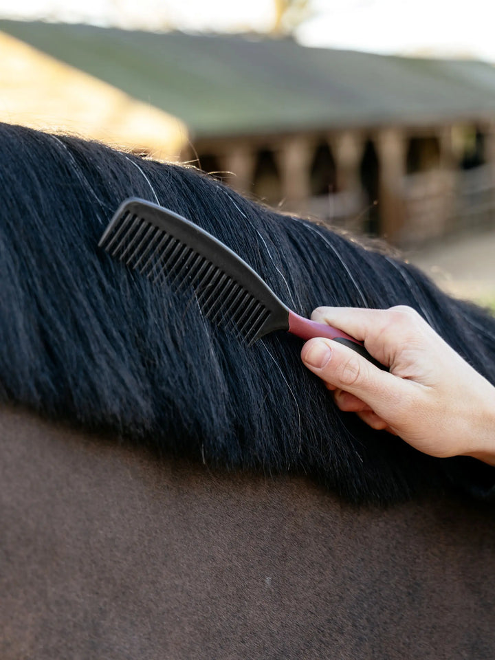 Mane Comb