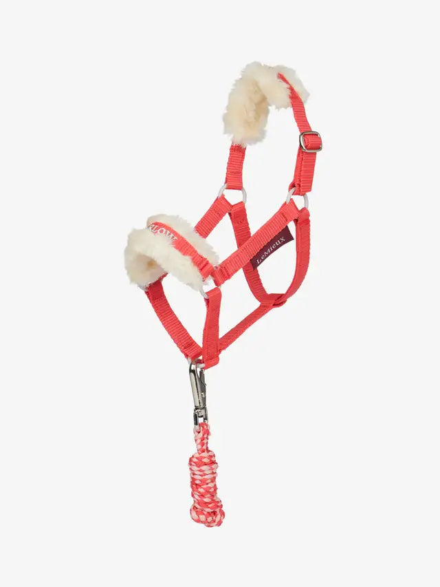 Harlow Hobby Horse Headcollar &amp; Leadrope