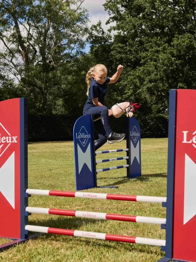 Hobby Horse Jump