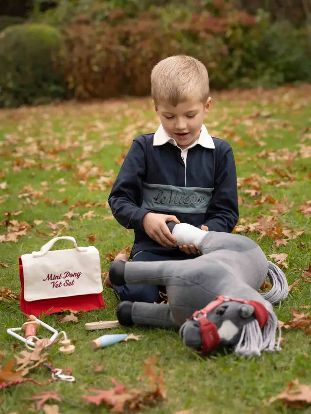 Toy Pony Vet Set