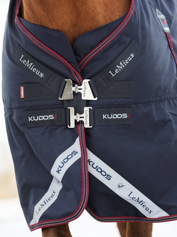 Kudos Turnout Rug 50g