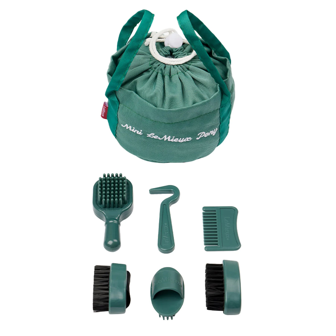 Toy Pony Grooming Kit