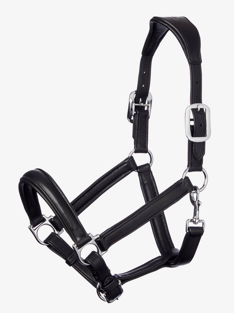 Anatomic Halter