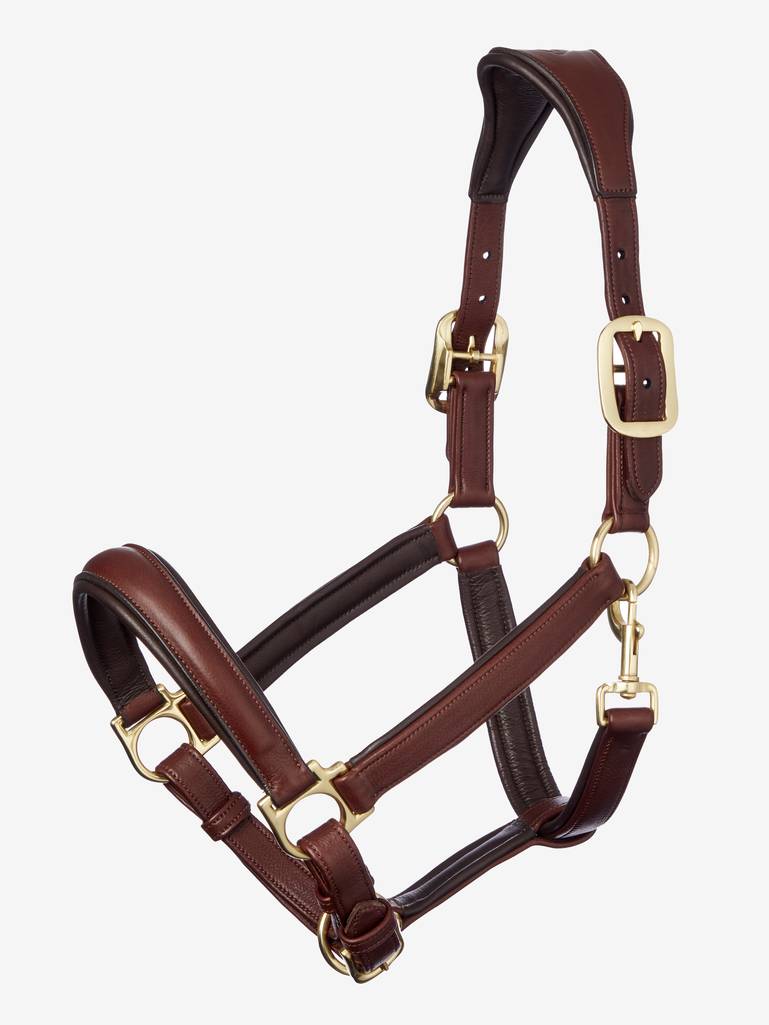 Anatomic Halter