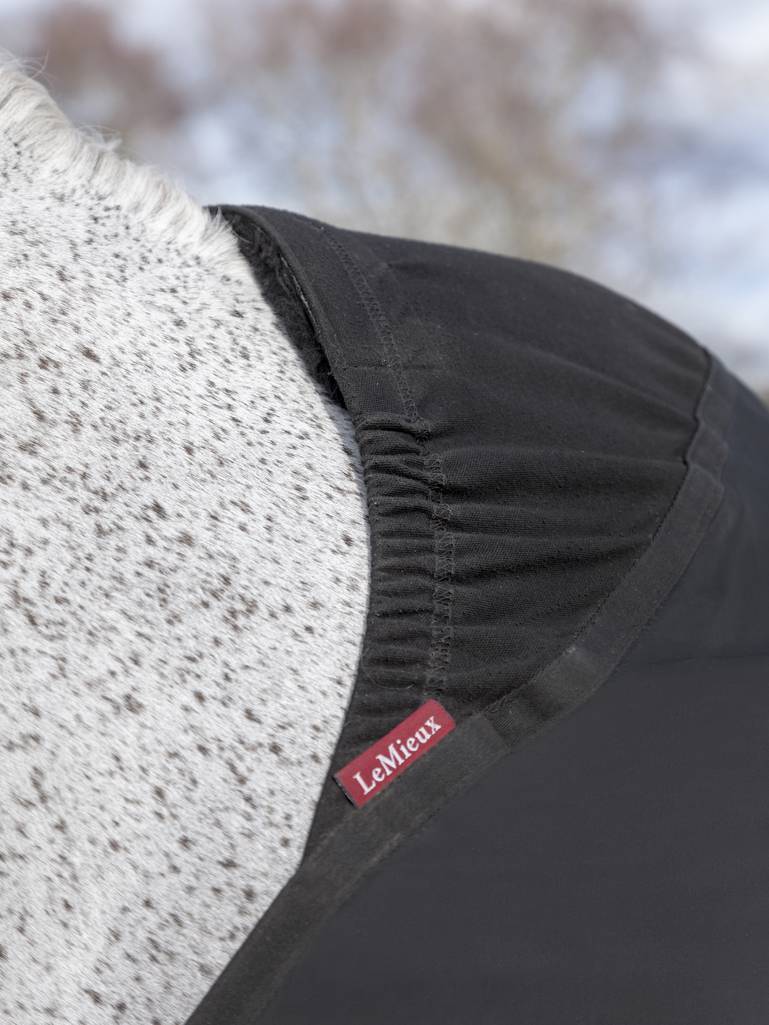 Anti Rub Bib