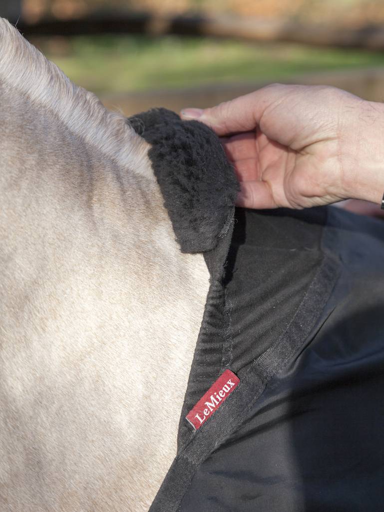 Anti Rub Bib