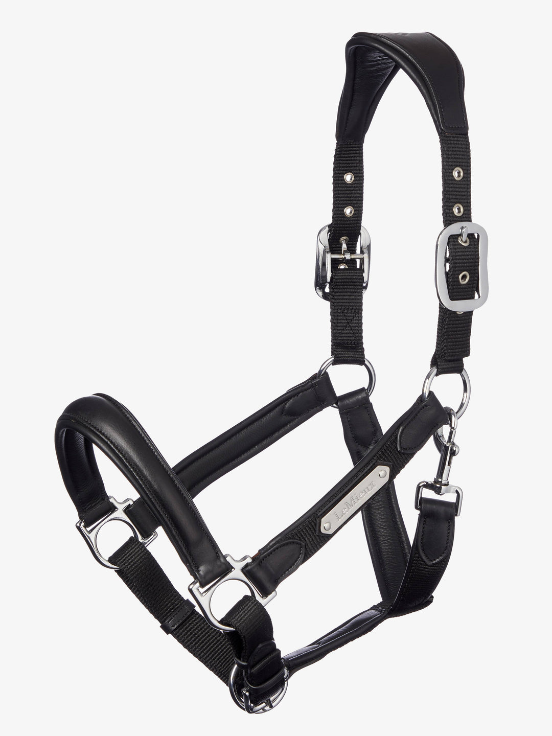Capella Headcollar