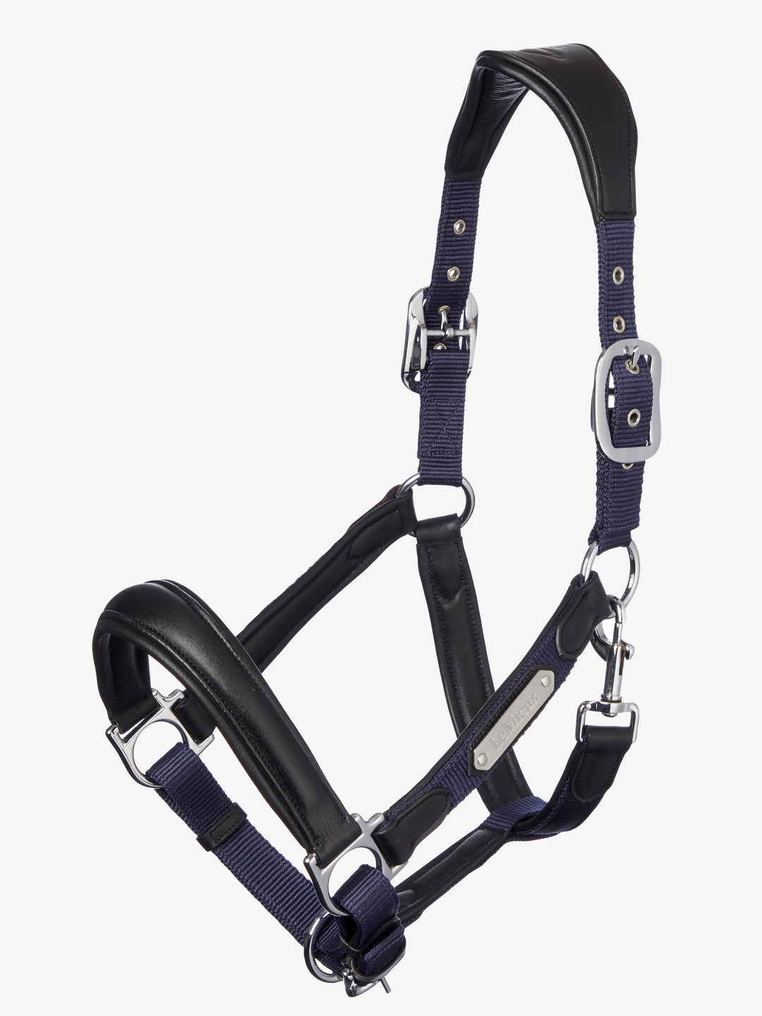 Capella Headcollar