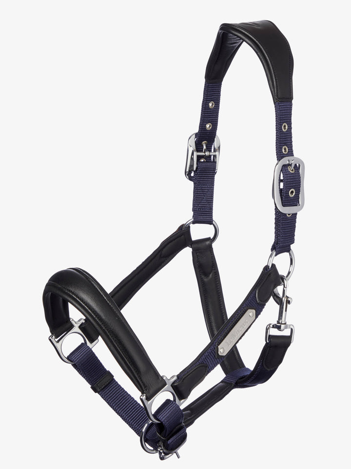 Capella Headcollar