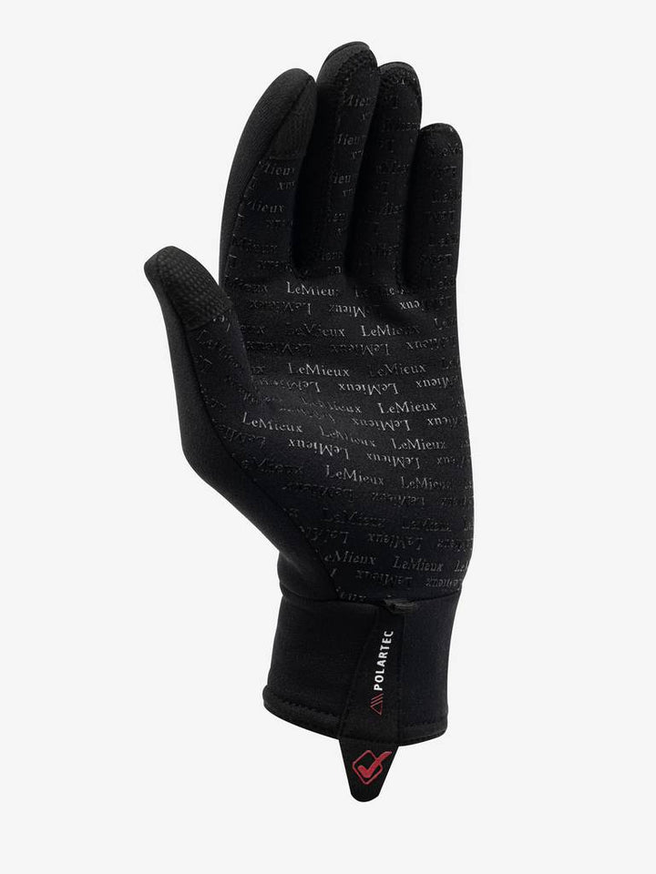 Polartec Gloves