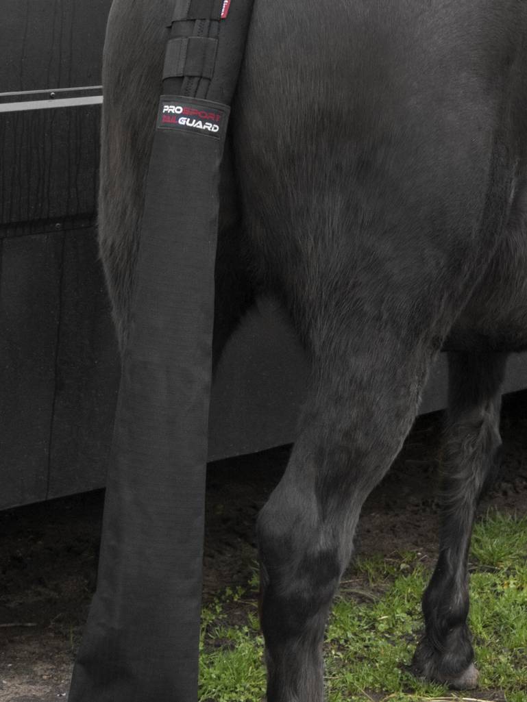 Tail Guard with Bag