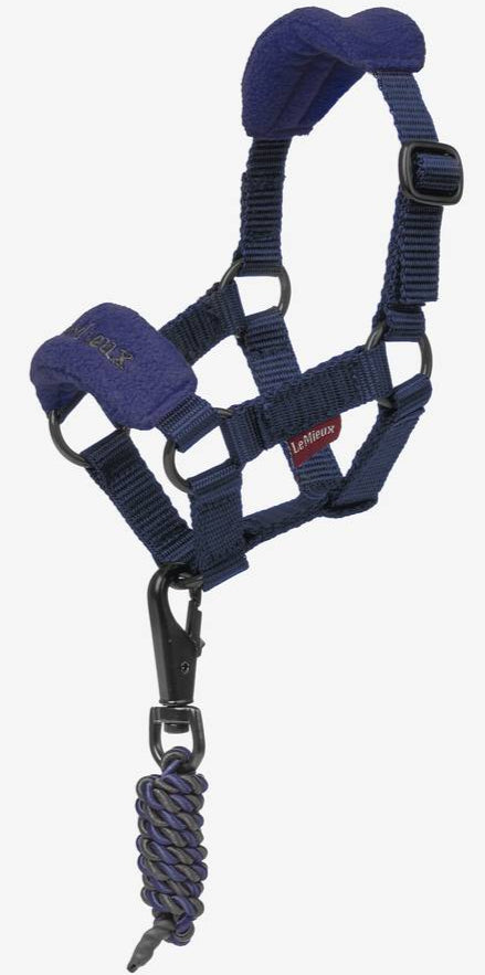 Toy Pony Vogue Headcollar &amp; Lead rope