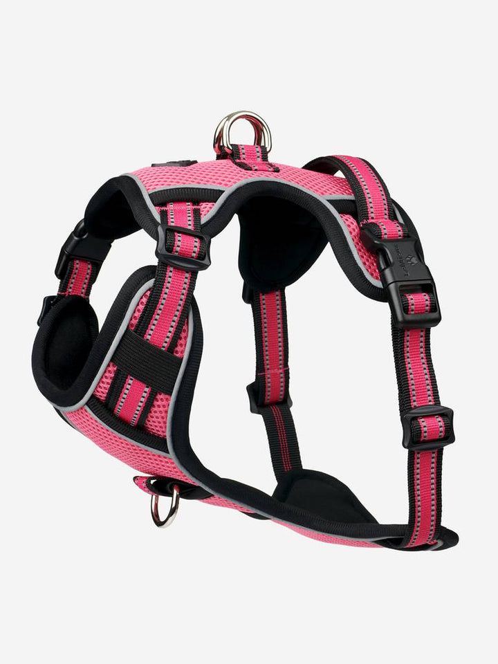 Winchester Dog Harness