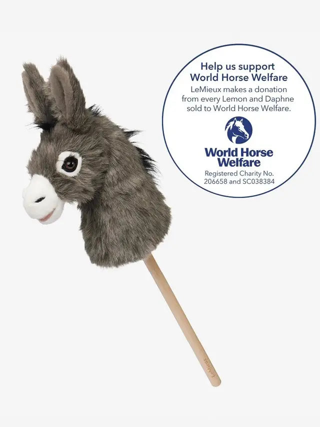 Mini Hobby Horse
