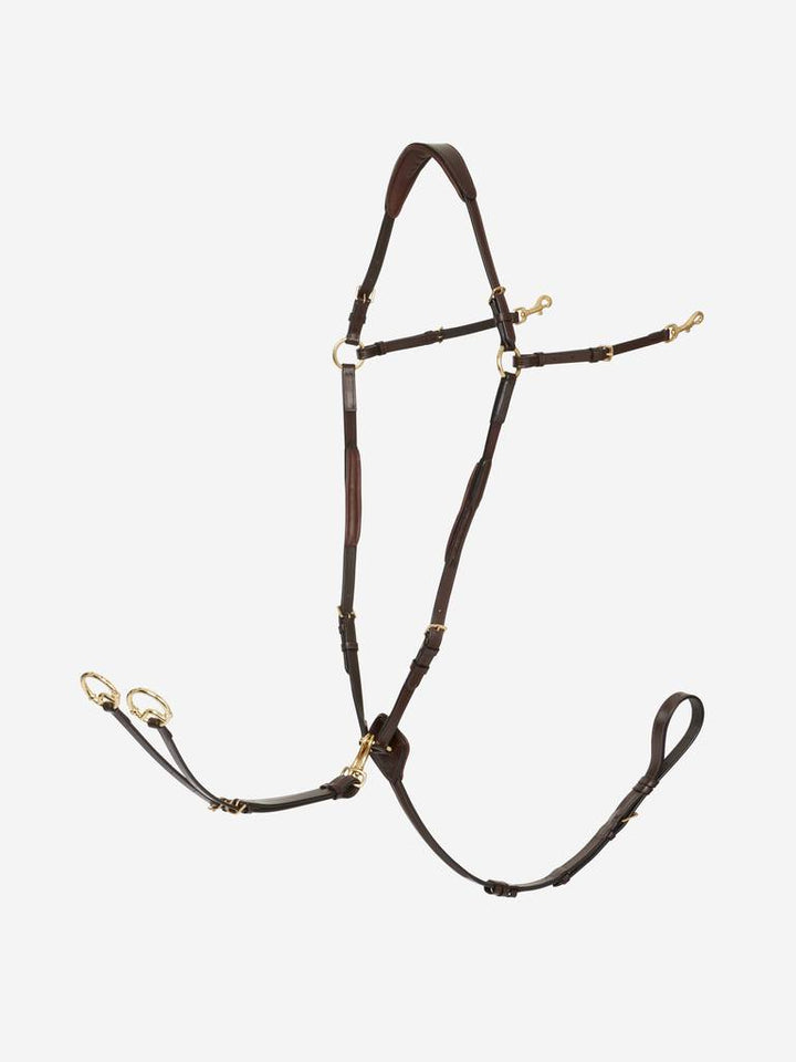 Breastplate D-Ring Attachment