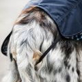 Newmarket Heritage Dog Coat