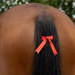 Red Tail Bow