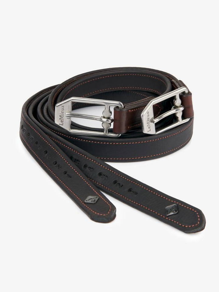 Vector Stirrup Leather