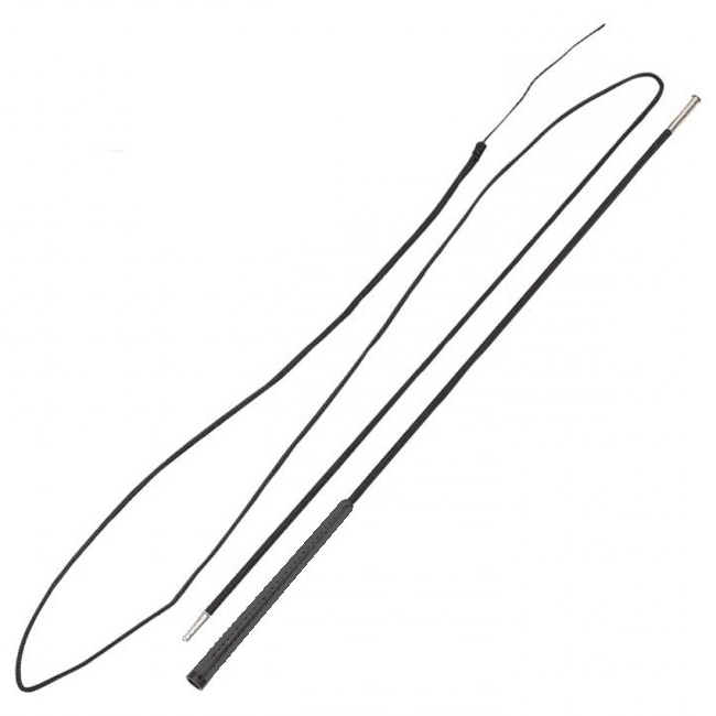 2-Piece Lunge Whip