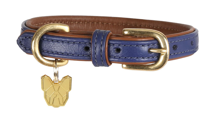 Digby &amp; Fox Padded Leather Dog Collar
