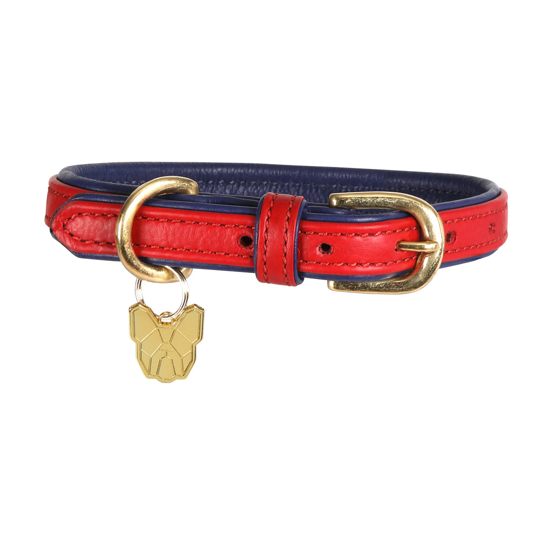 Digby &amp; Fox Padded Leather Dog Collar