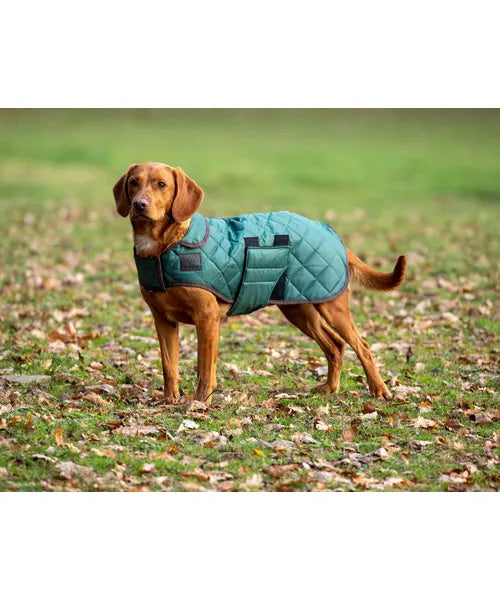 Digby &amp; Fox Heritage Dog Coat