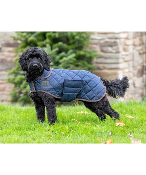 Digby &amp; Fox Heritage Dog Coat