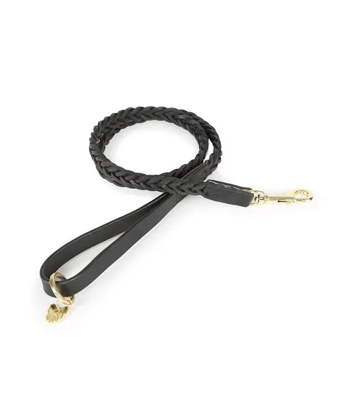 Digby &amp; Fox Plaited Dog Lead
