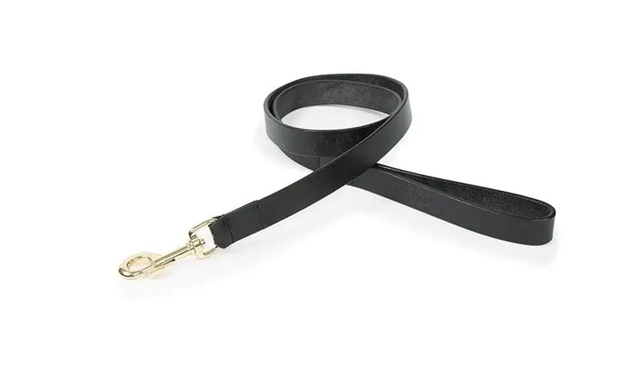 Digby &amp; Fox Flat Leather Dog Lead