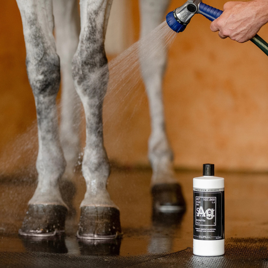AgSilver CleanWash-Maximum Strength
