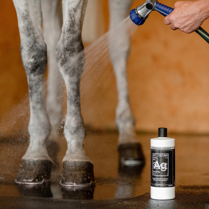 AgSilver CleanWash-Maximum Strength