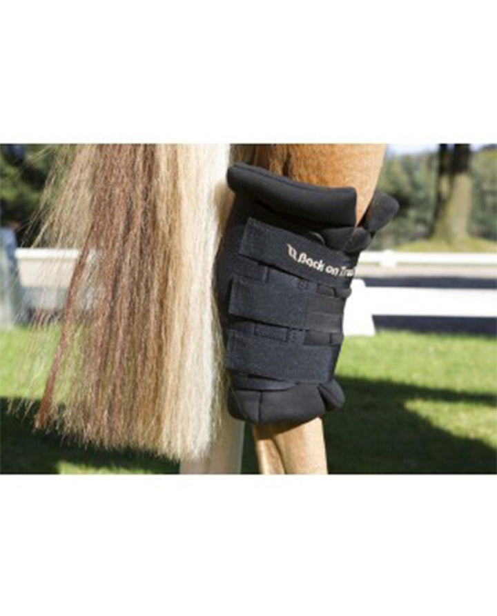 Royal Hock Boot with Hole