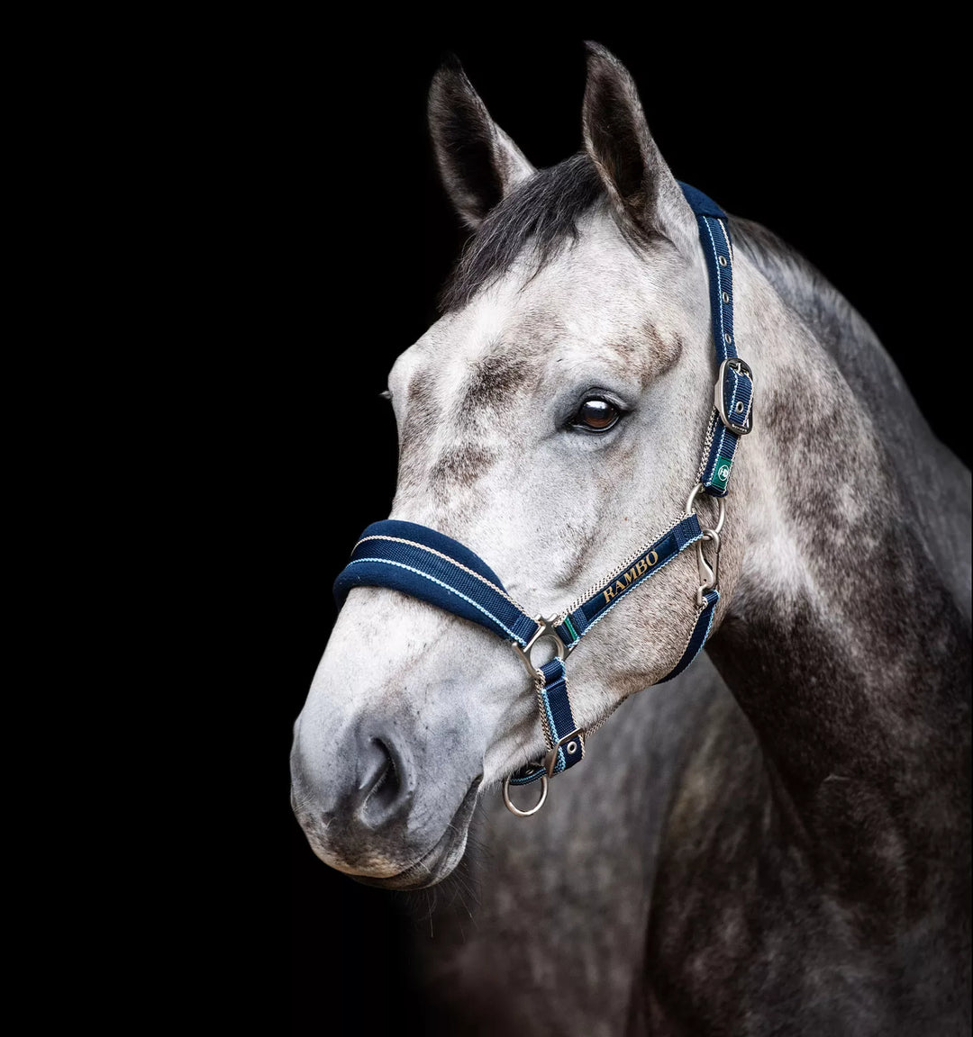 Rambo Padded Nylon Halter
