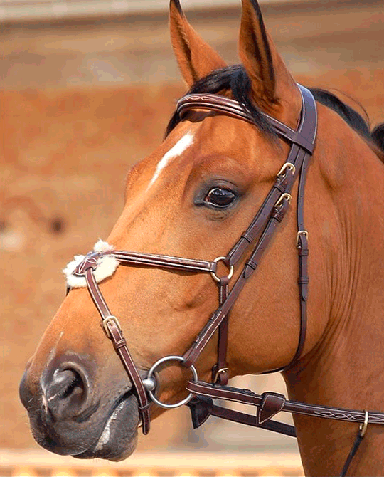 Fancy Stitch Figure 8 Noseband Bridle - Dyon Collection