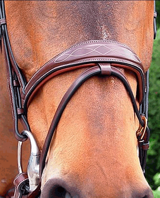 Fancy Anatomic Flash Noseband Bridle - Dyon Collection