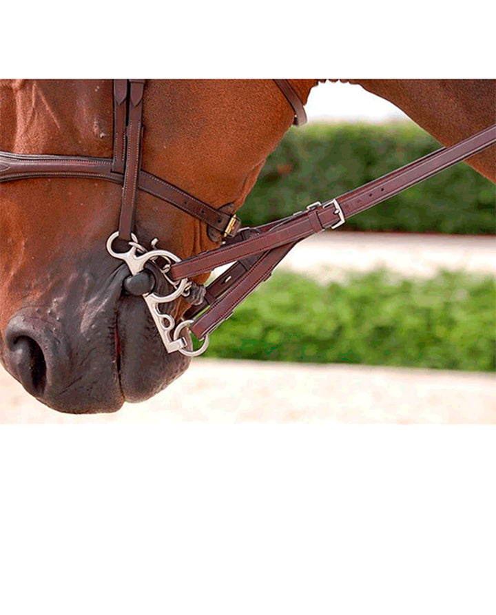 Dyon Converter Rubber Reins - New English Collection