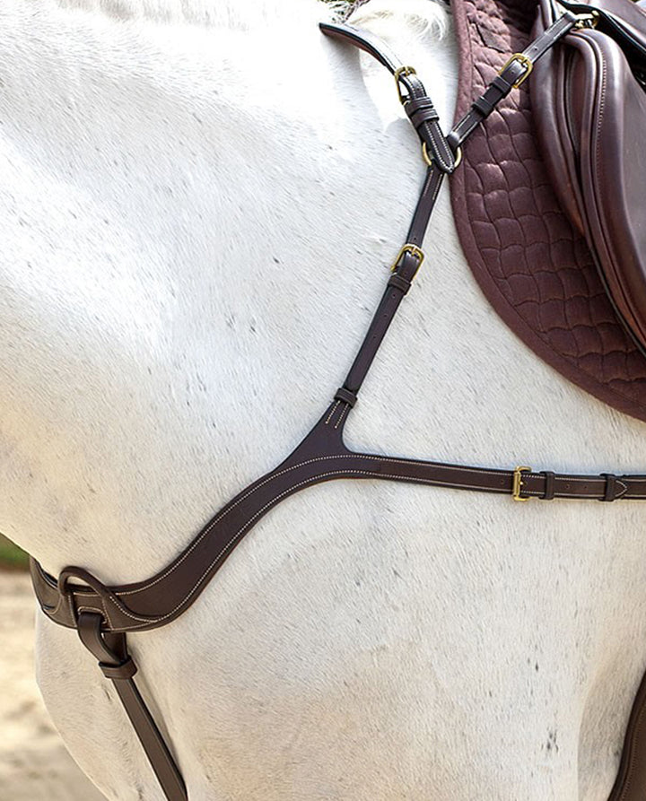 Anatomic Breastplate - Dyon Collection