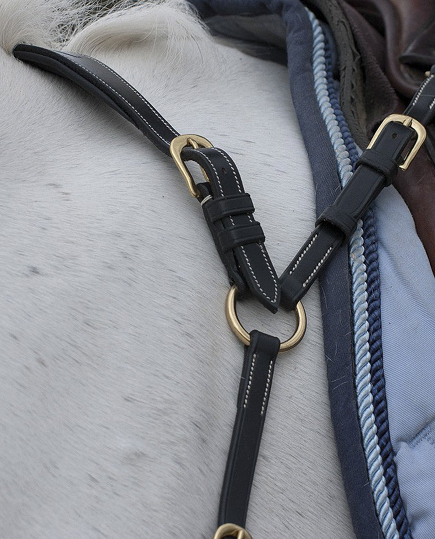 Anatomic Breastplate - Dyon Collection