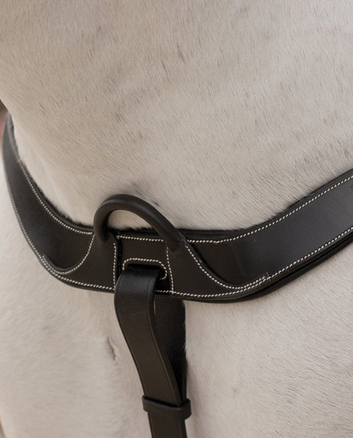 Anatomic Breastplate - Dyon Collection