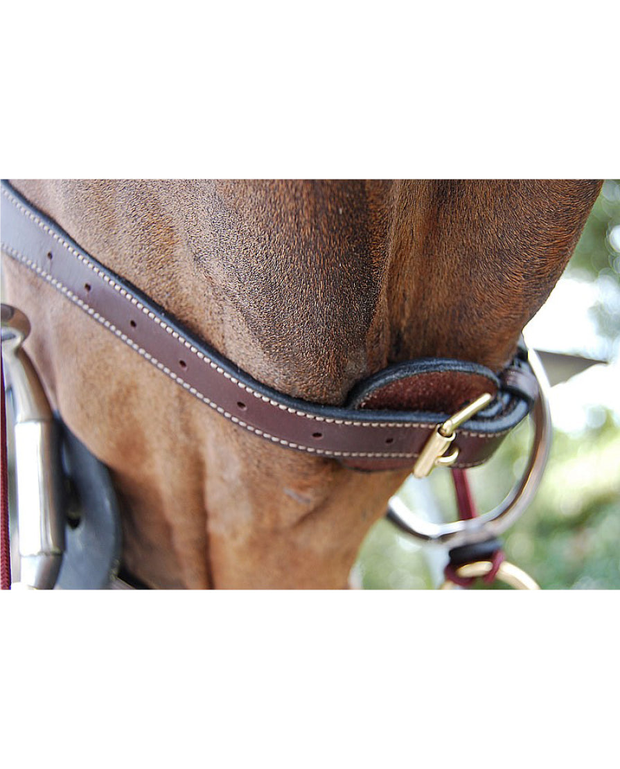 Dyon Anatomic Noseband - Dyon Collection