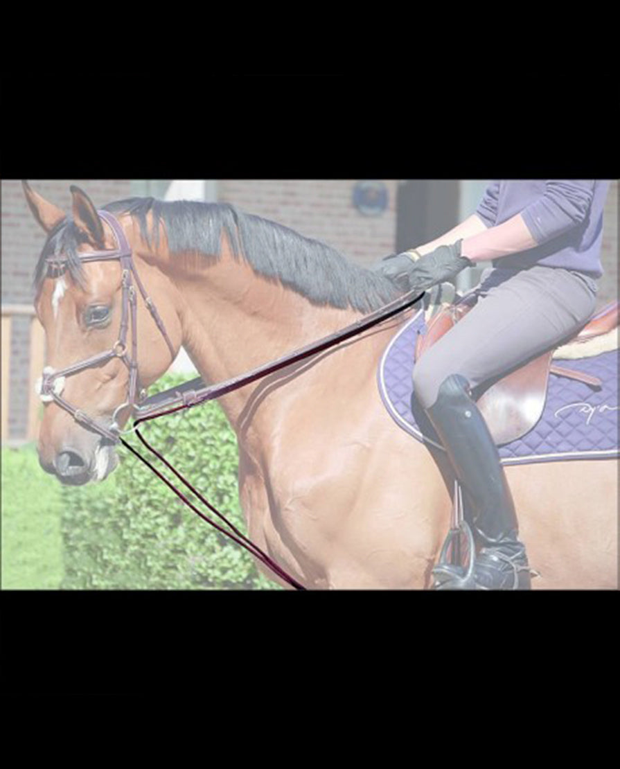 Leather/Nylon Draw Reins 5/8 - D Collection