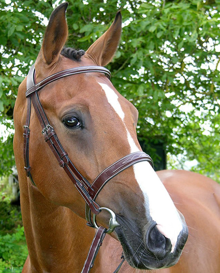 US Hunter Bridle Anatomic - Dyon Hunter Collection