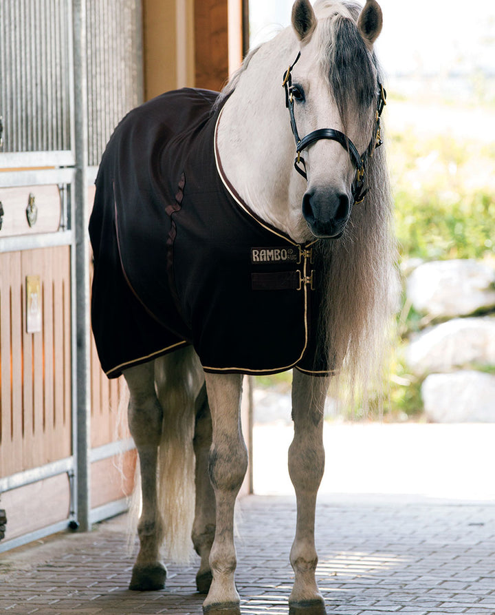 Rambo Stable Sheet
